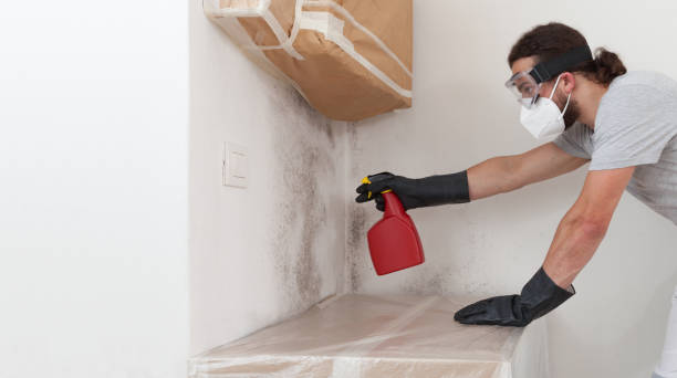 Professional Crawl Space Mold Removal technician working in Evans, CO