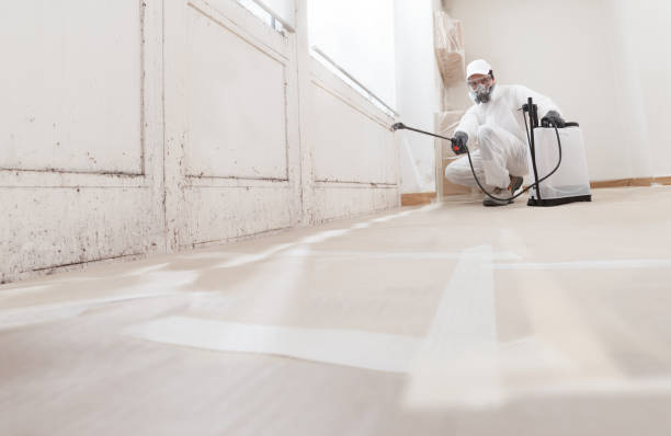 24/7 Emergency Crawl Space Mold Removal experts in Evans, CO