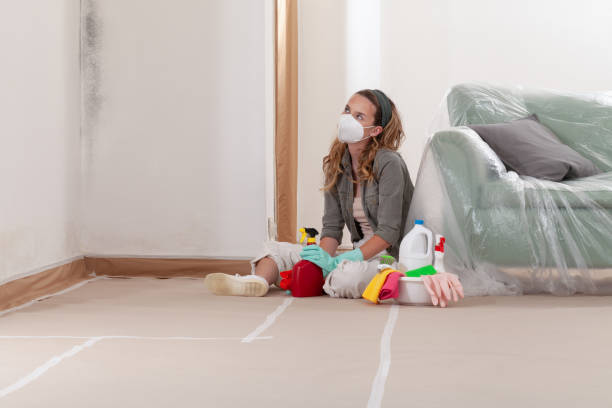 Reliable Crawl Space Mold Removal contractor in Evans, CO by WQB Mold Removal
