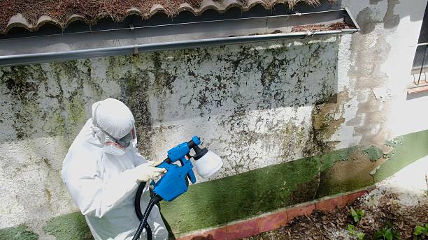 Top rated local Crawl Space Mold Removal specialists in Evans, CO
